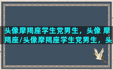 头像摩羯座学生党男生，头像 摩羯座/头像摩羯座学生党男生，头像 摩羯座-我的网站